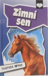 kniha Zimní sen, Stabenfeldt 2013