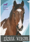 Zázrak Winston
